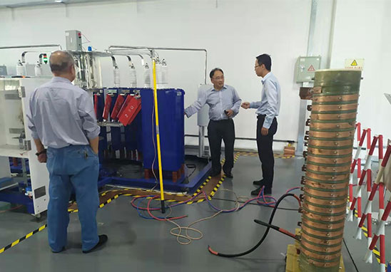 國(guó)際防雷專(zhuān)家-1